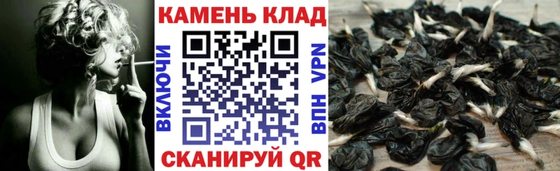 Где можно купить наркотики Яхрома Марихуана  АМФЕТАМИН  ГАШИШ  Меф  ЭКСТАЗИ  А ПВП  COCAIN 