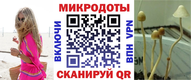 Псилоцибиновые грибы GOLDEN TEACHER  Яхрома 